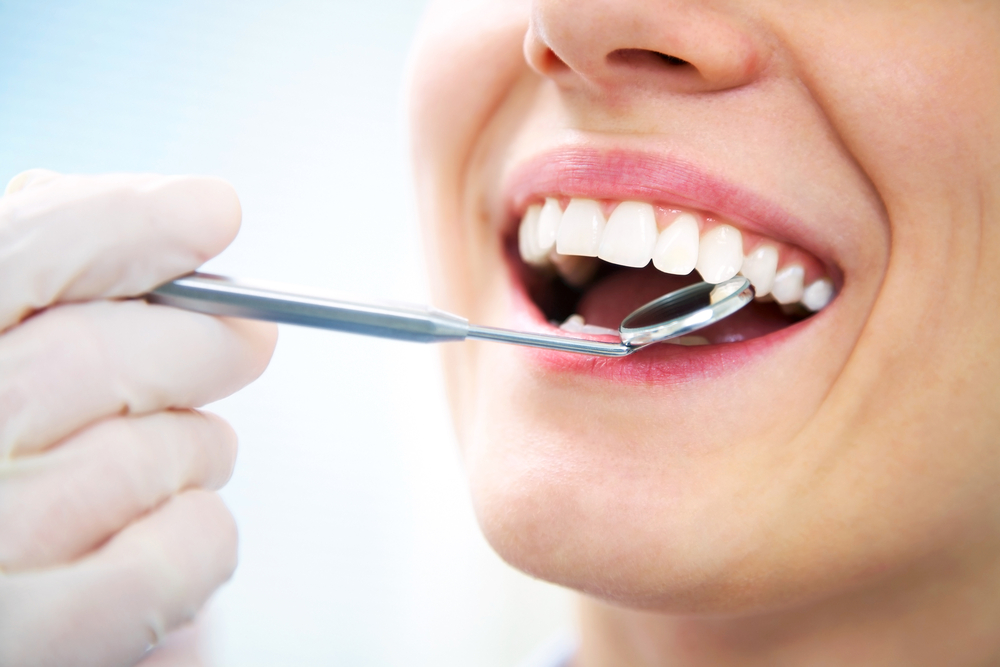 치과 해부학 사진, 치아의 종류 및 각 부분의 기능