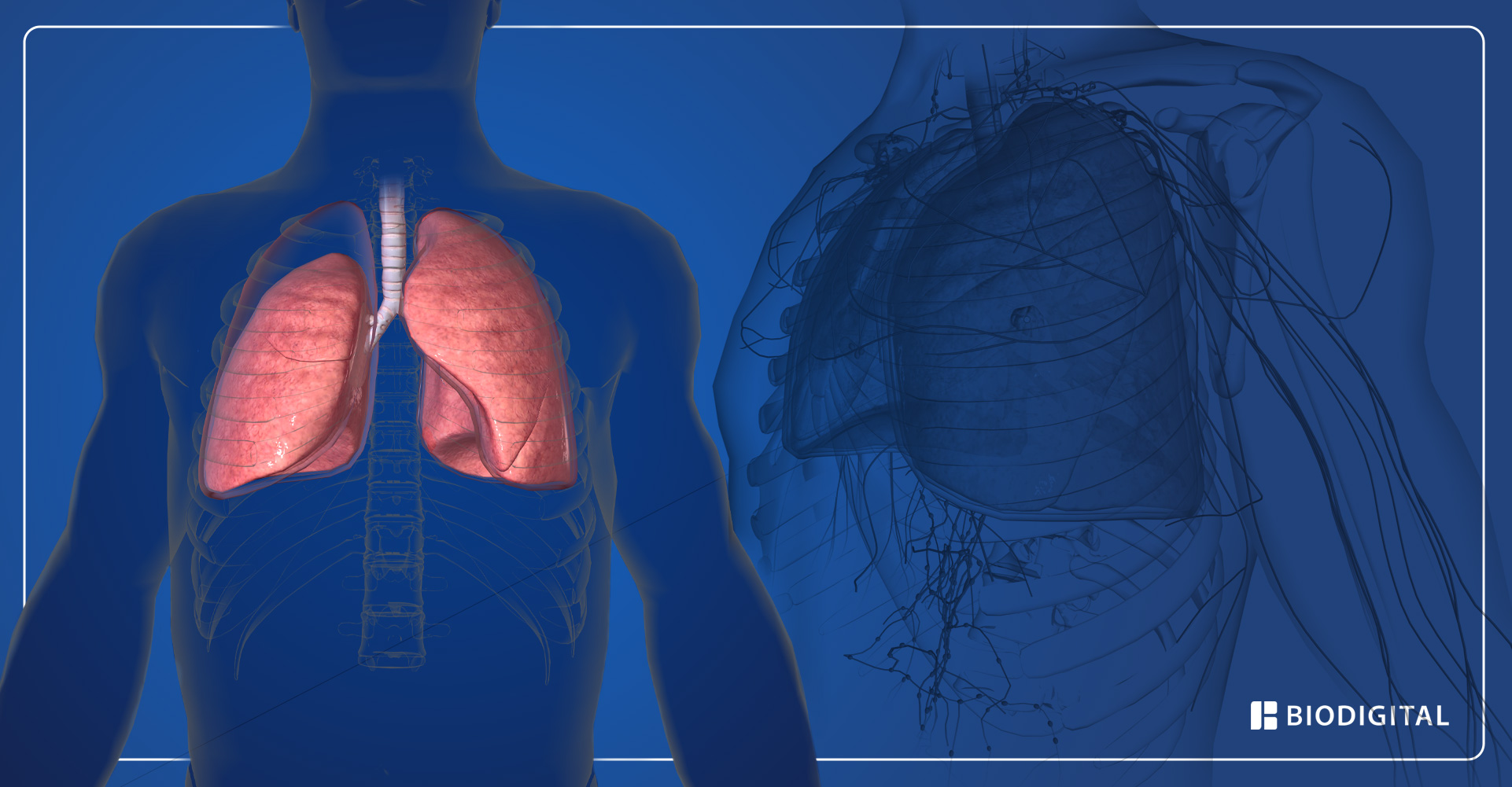 10 simptome ale cancerului pulmonar pe care nu ar trebui să le ignorați