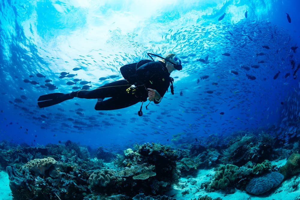 Цікавить навчання підводному плаванню? Це 3 важливі поради, на які варто звернути увагу