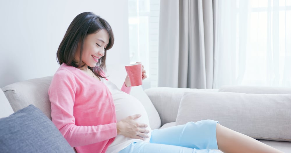 각 임신 3개월의 산모 및 태아 발달