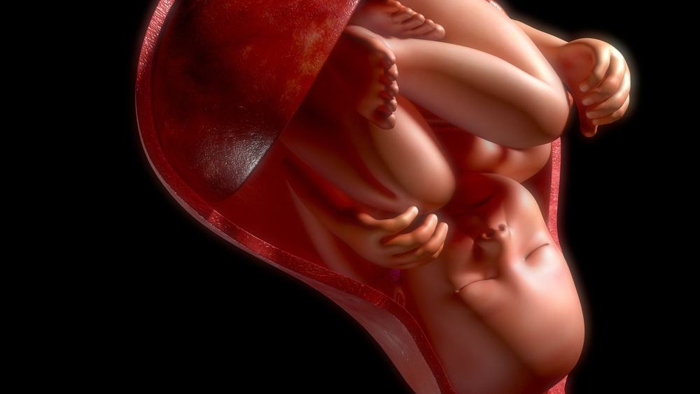 Poziția fătului în uter: care este cea mai ideală pentru naștere și este în pericol?