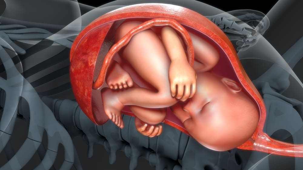 산모의 자궁 내 위치(산모), 여전히 정상적으로 출산할 수 있나요?