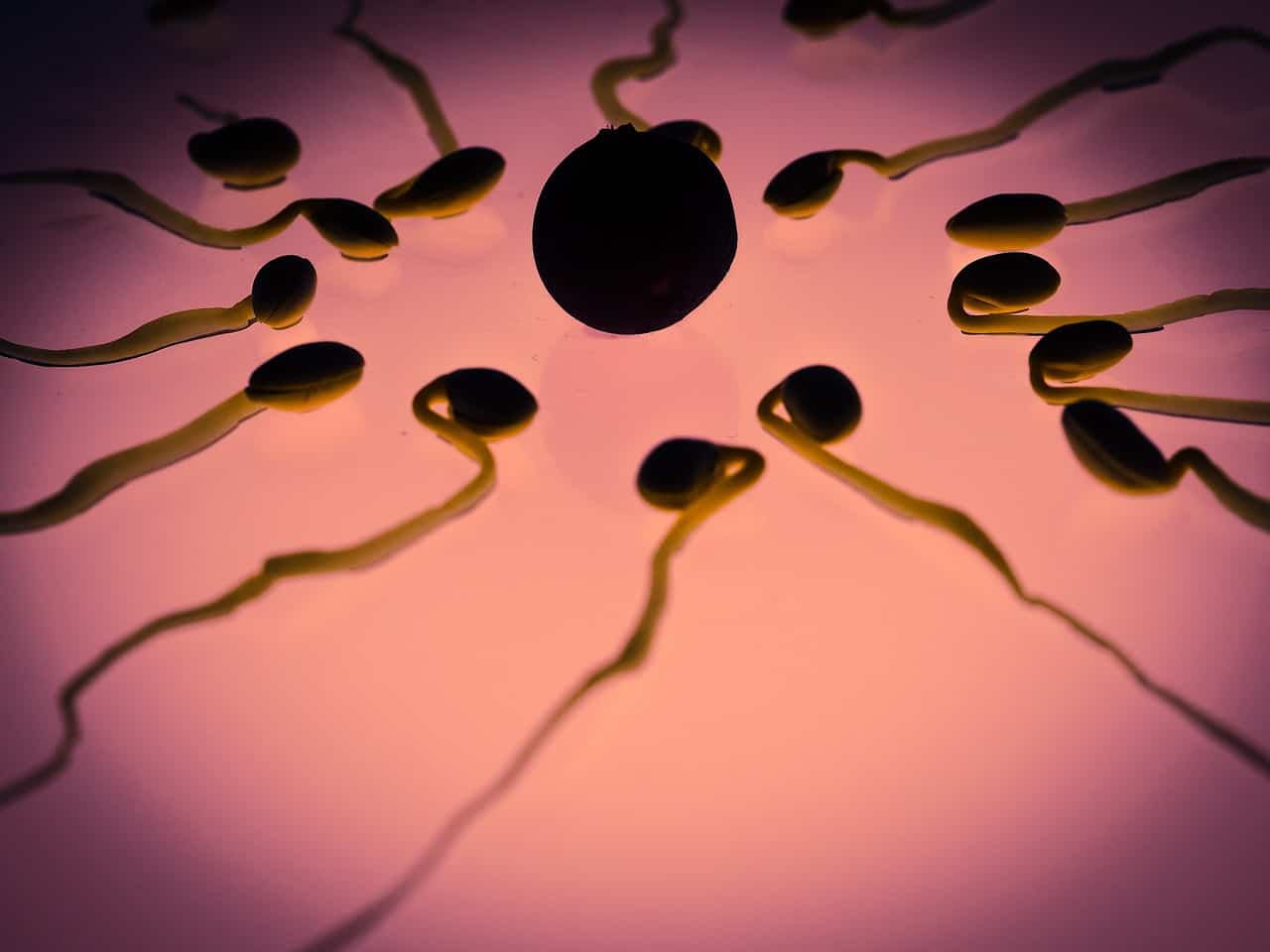 11 sätt att förbättra spermiekvaliteten för manlig fertilitet