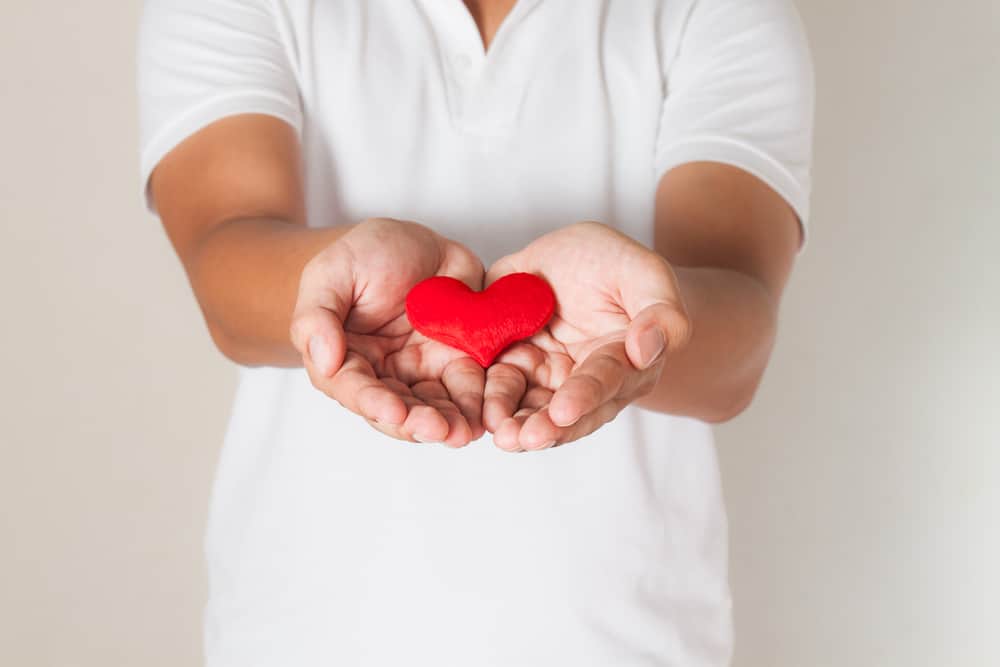 חקר כיצד שריר הלב פועל, כמו גם תנאים שיכולים להפריע לו