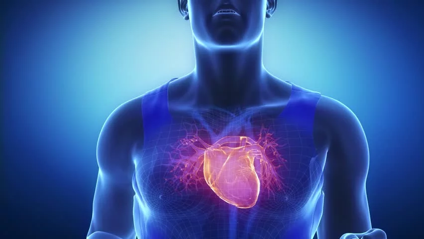 Cunoașteți diferitele cauze posibile ale unei inimi umflate