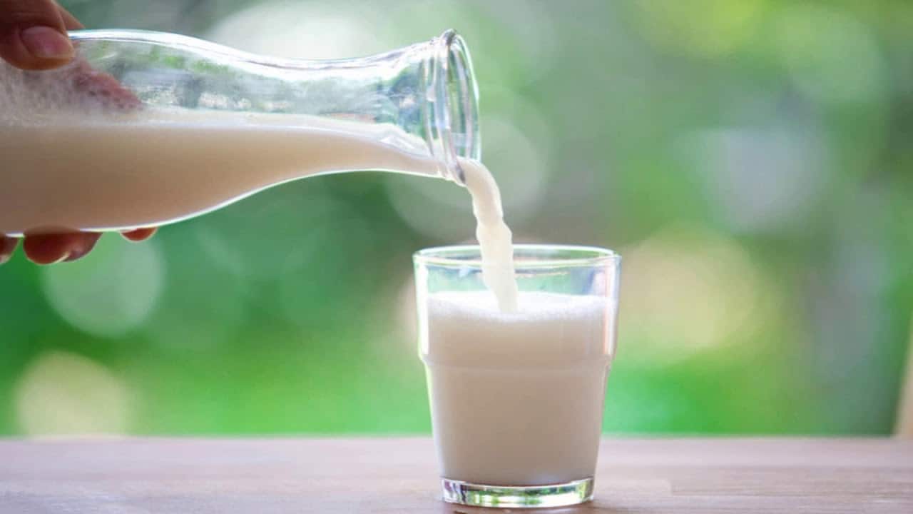 이미 골다공증, 뼈를 강화하기 위해 여전히 우유를 마실 수 있습니까?