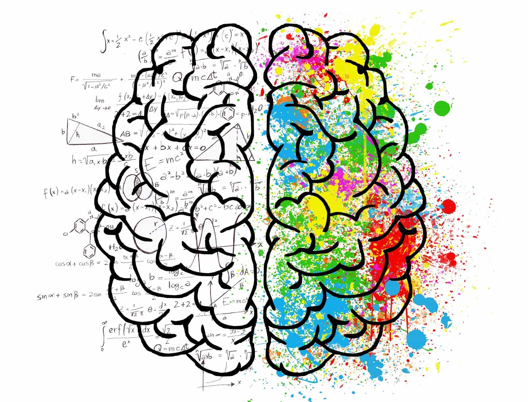 האם זה נכון שתפקידי המוח הימני והמוח השמאלי שונים? מהם ההבדלים?
