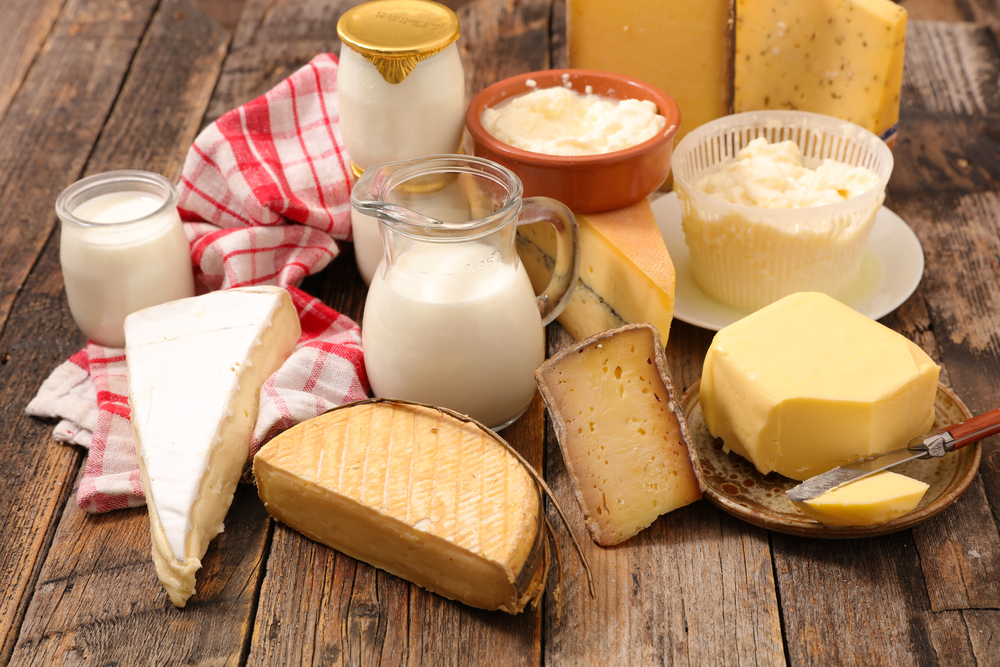 היכרות עם הסוגים השונים של מוצרי חלב והרכיבים התזונתיים שלהם