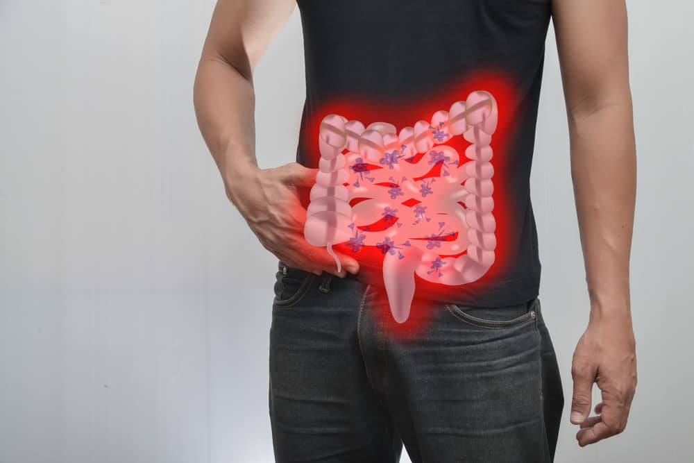 Funcțiile intestinului subțire în digestie și diferite boli