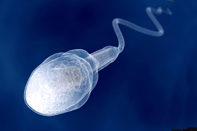 9 faits sur le sperme que vous devez savoir