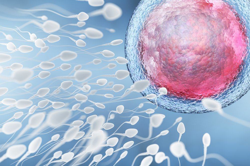 Ce gust are spermatozoizii? Și alte 8 fapte unice despre spermă