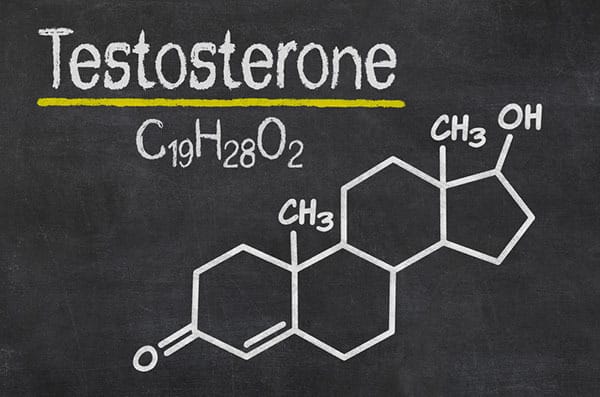 남성의 테스토스테론 호르몬 장애의 원인과 특성 알기