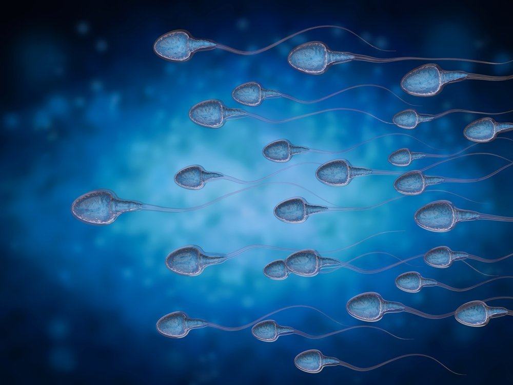 Spermatozoizii diluați înseamnă greu să rămâneți cupluri însărcinate? Aceasta este explicația