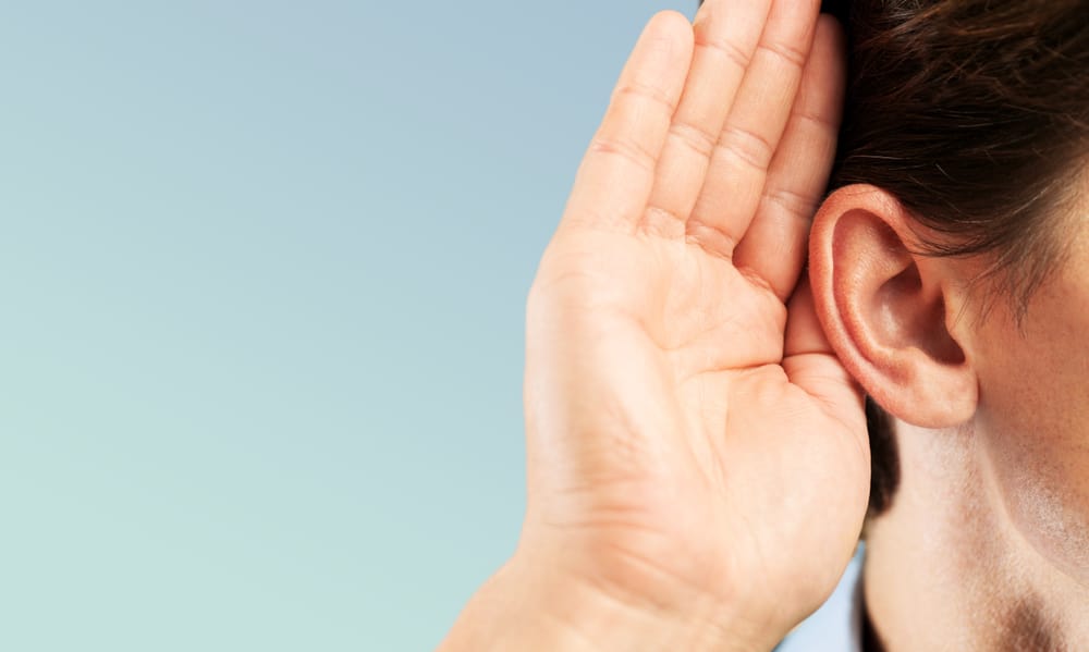 인간의 청력 과정의 순서 인식