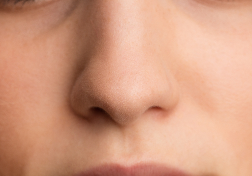 קלף לחלוטין את האנטומיה של האף האנושי מבחוץ לפנים