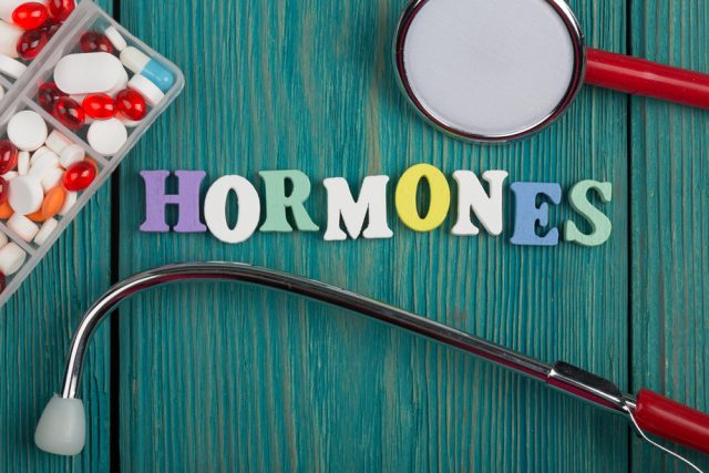 הבנת הורמונים, חומרים המשפיעים על תפקודי גוף רבים