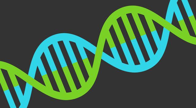 Hogyan működnek a DNS-tesztek a származás ellenőrzésére