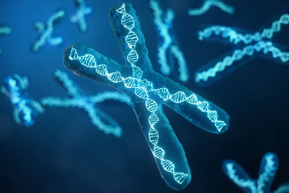 Fapte despre cromozomi de la funcție la anomalii