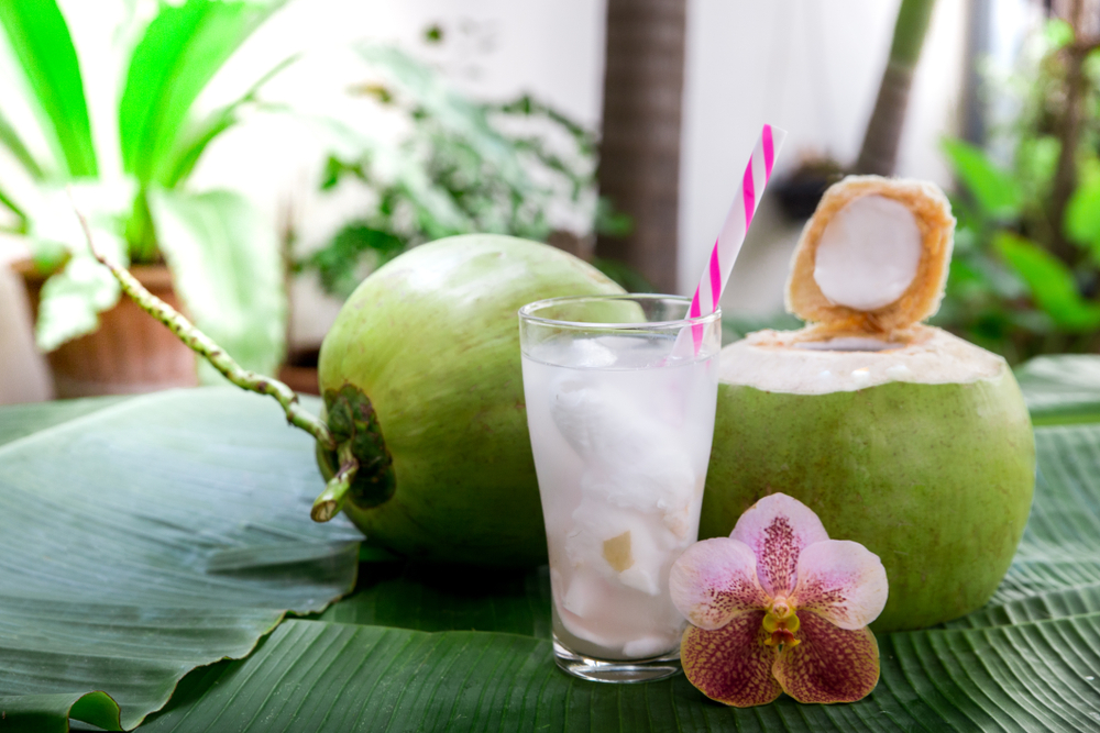 4 creaciones de recetas frescas de hielo de coco joven para aliviar la sed