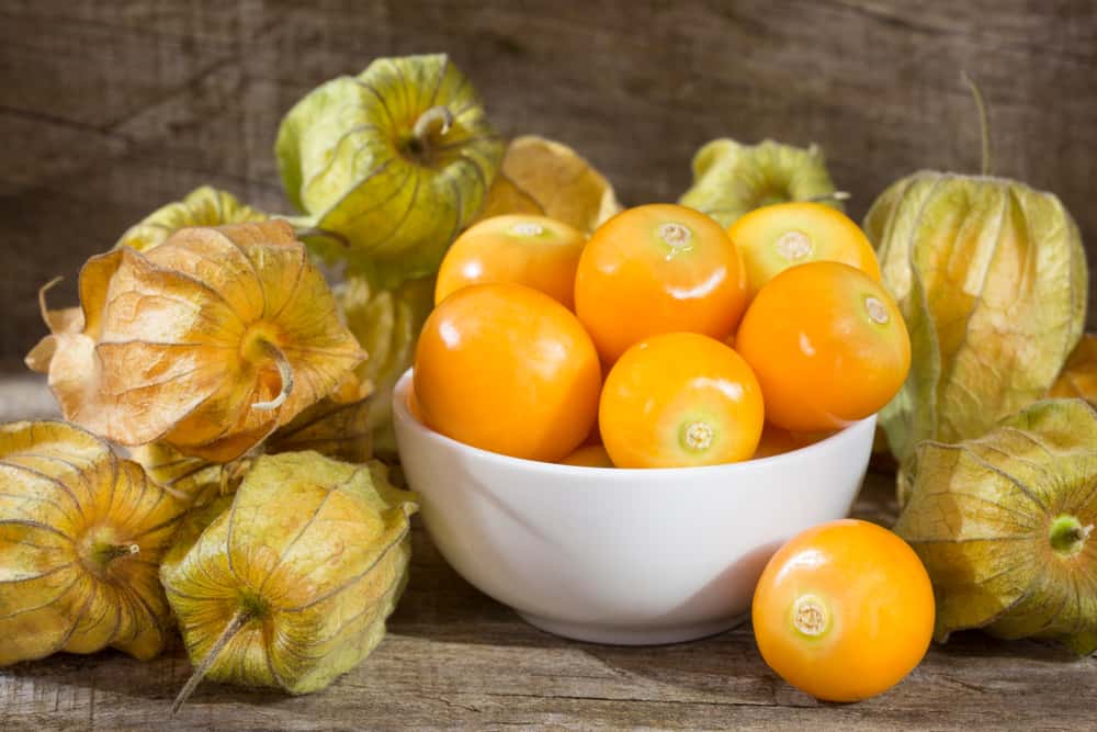 Upoznajte nutritivni sadržaj i 5 zdravstvenih prednosti voća Ciplukan