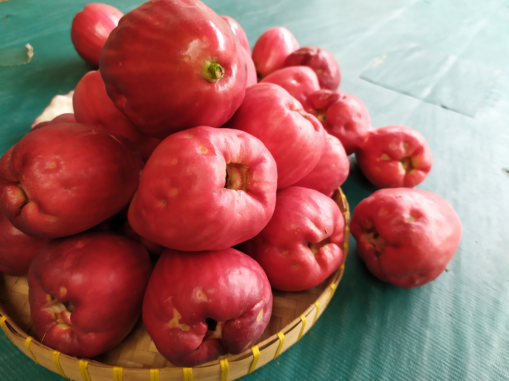 Deze 7 voordelen van Jamaicaanse guave voor je lichaam