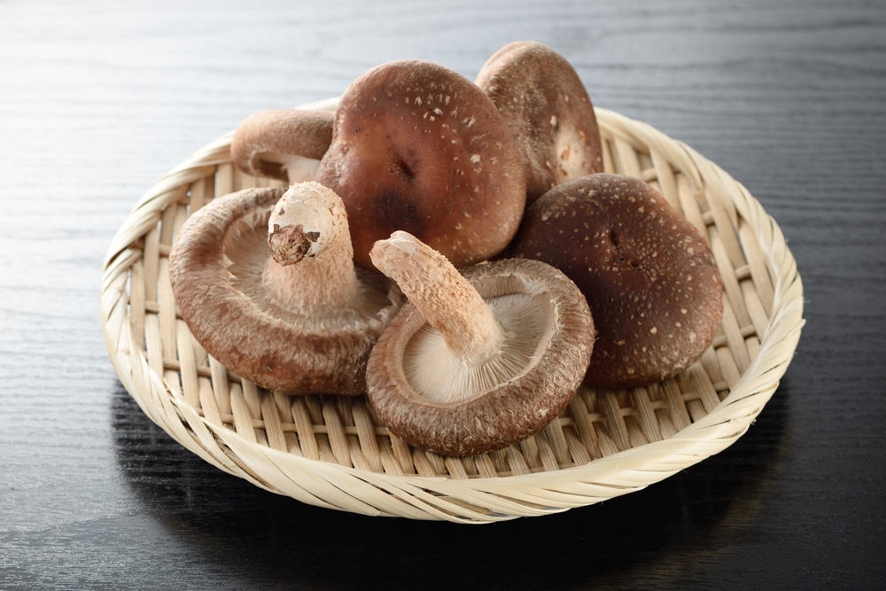 5 удивительных преимуществ грибов шитаке, низкокалорийного шоколада