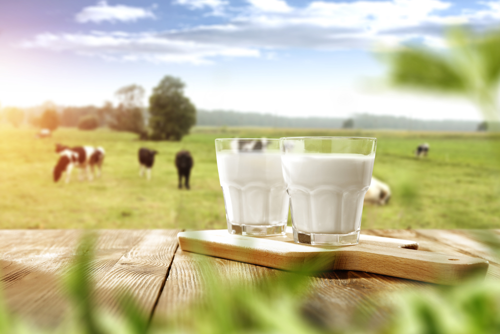 몸의 건강을 위한 우유의 15가지 이점