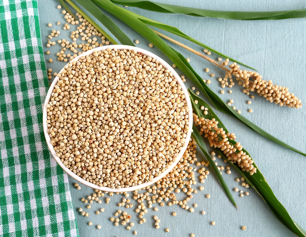 Conozca el sorgo, el "sustituto del arroz" con 6 beneficios para la salud