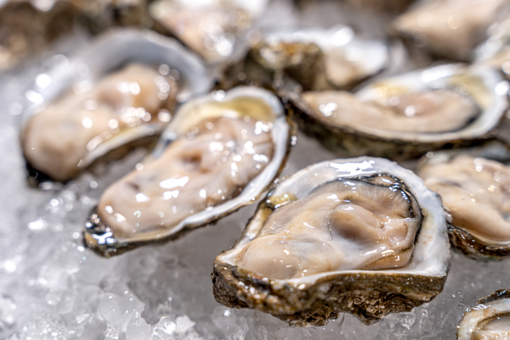 5 voordelen van oesters voor het lichaam en tips om ze te eten