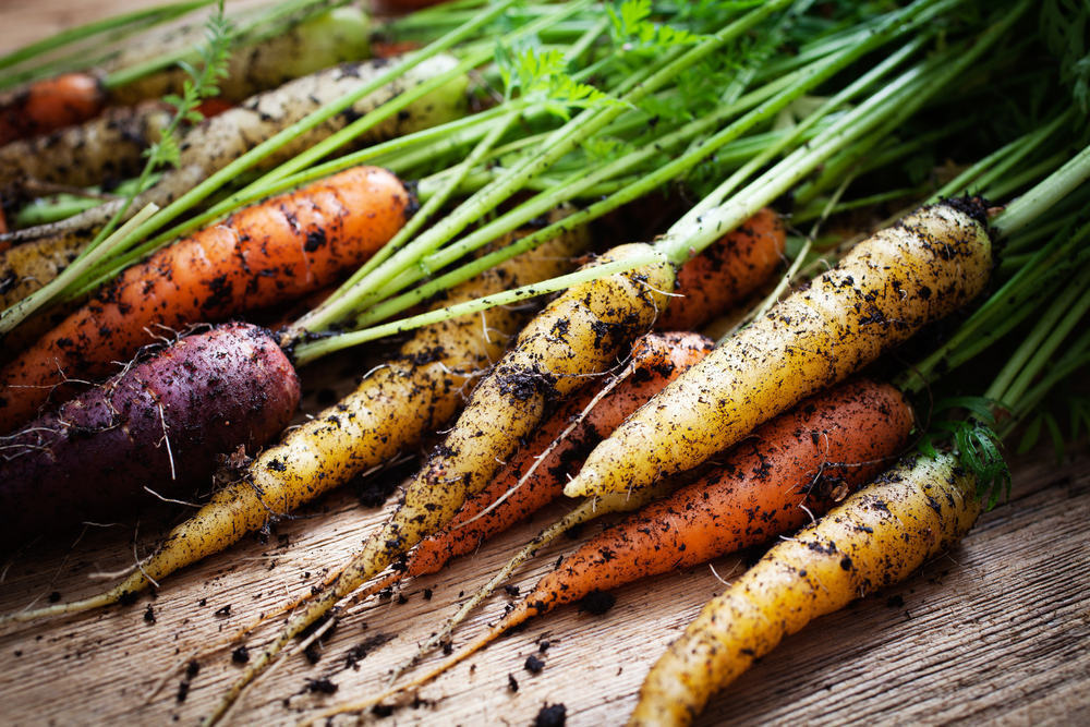 유기농 식품이 일반 식품보다 건강에 좋다는 것이 사실입니까?