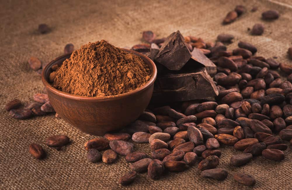 10 avantages étonnants du cacao pour la santé du corps
