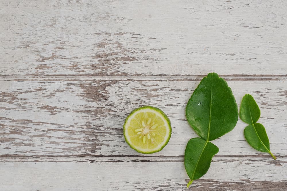 7 удивительных преимуществ листьев кафрского лайма для тела