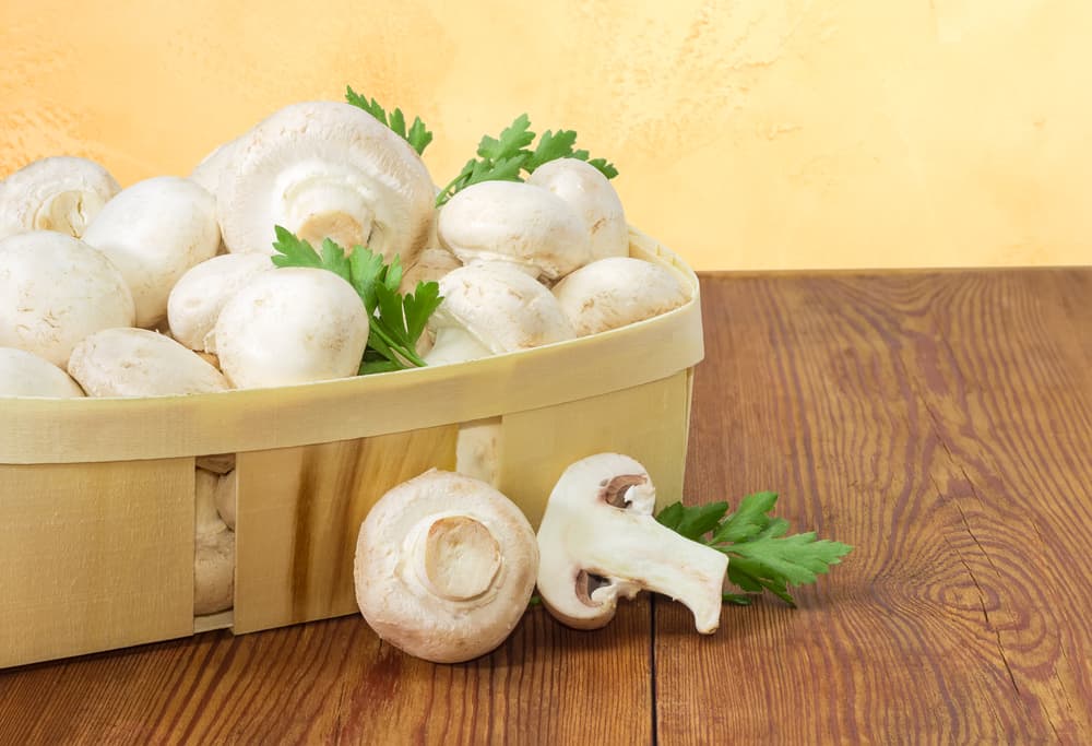Различные преимущества и риски употребления грибов для здоровья