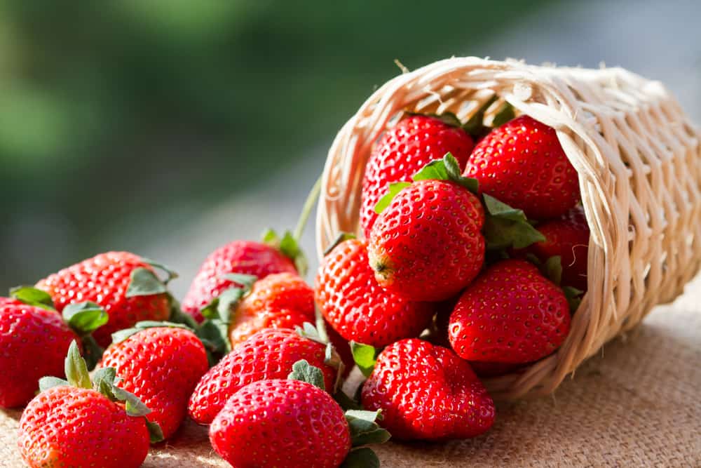 Fructul de căpșuni, cel frumos și acru care deține o multitudine de beneficii