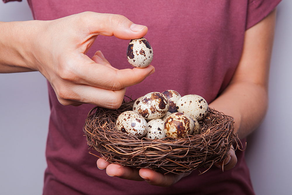 Вважається високим холестерином, чи корисно їсти скільки перепелиних яєць на день?