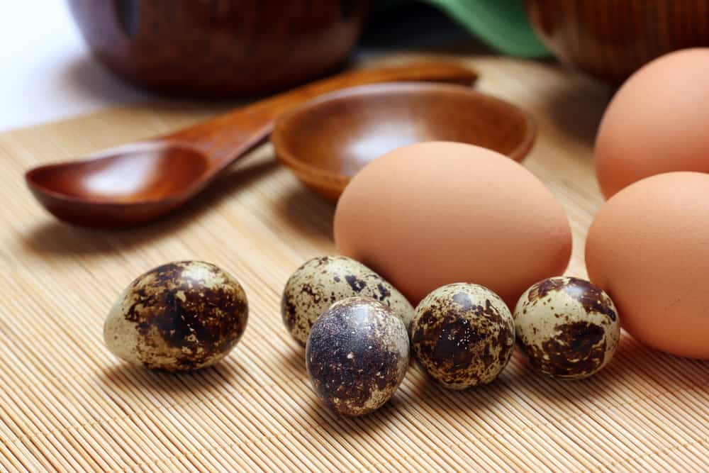 Kippeneieren of kwarteleitjes: wat is voedzamer?