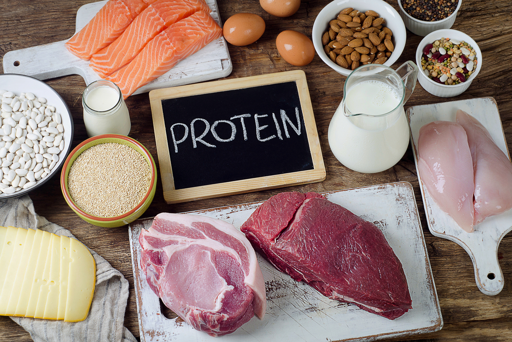 단백질 기능, 신체에 필요한 중요한 영양소
