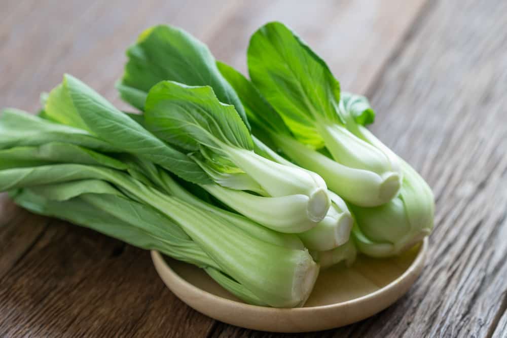 Werfen wir einen Blick auf die Vorteile von Pakcoy-Gemüse, dem nährstoffreichen Senf in Form eines Löffels