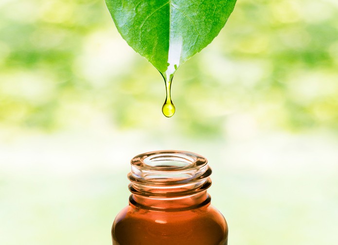 Beneficiile uleiului de nucă de lumânare pentru piele și păr