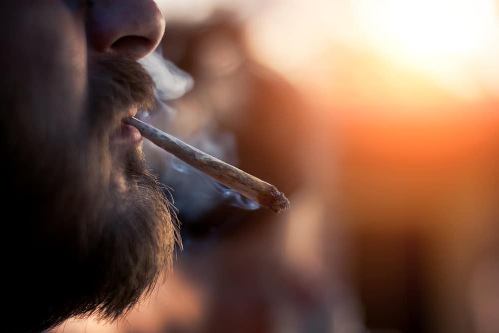 Cap Gorilla, marijuana sintetică care îi face pe utilizatori să trăiască ca zombi