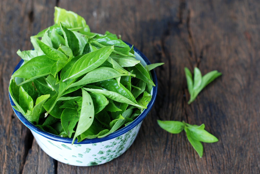 3 beneficios de las hojas de albahaca para la salud, no solo deliciosas como verduras frescas