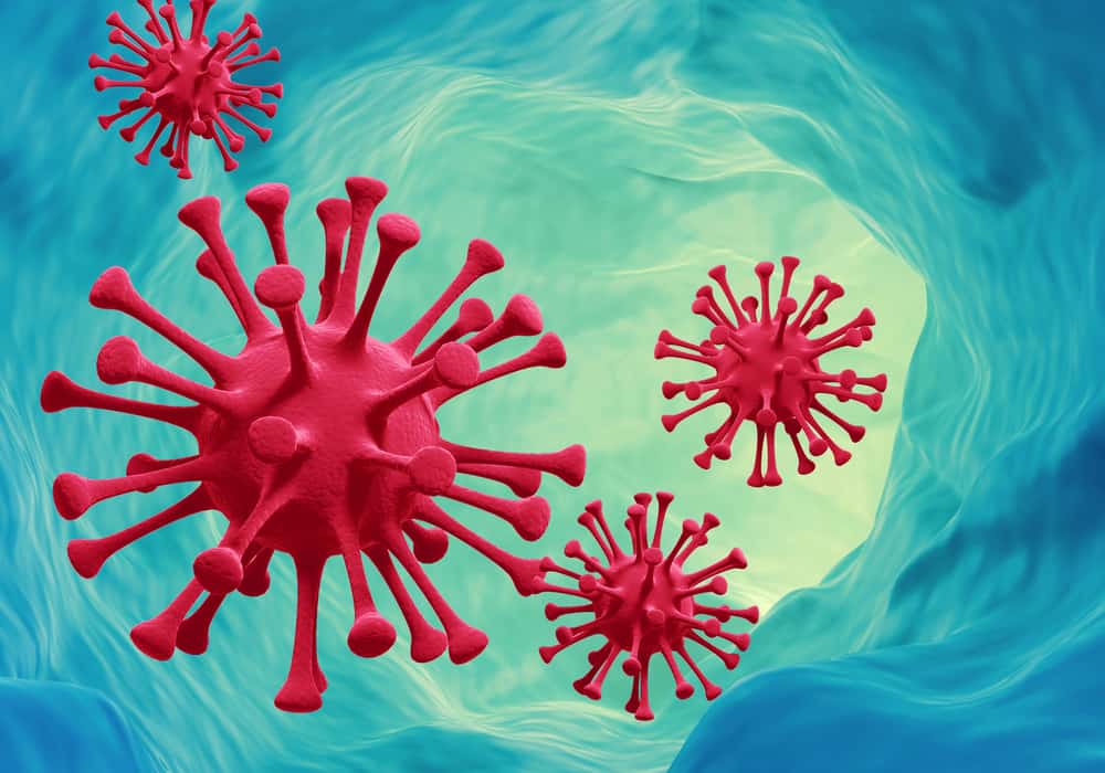 코로나바이러스와 파라믹소바이러스 감염, 차이점은 무엇입니까?