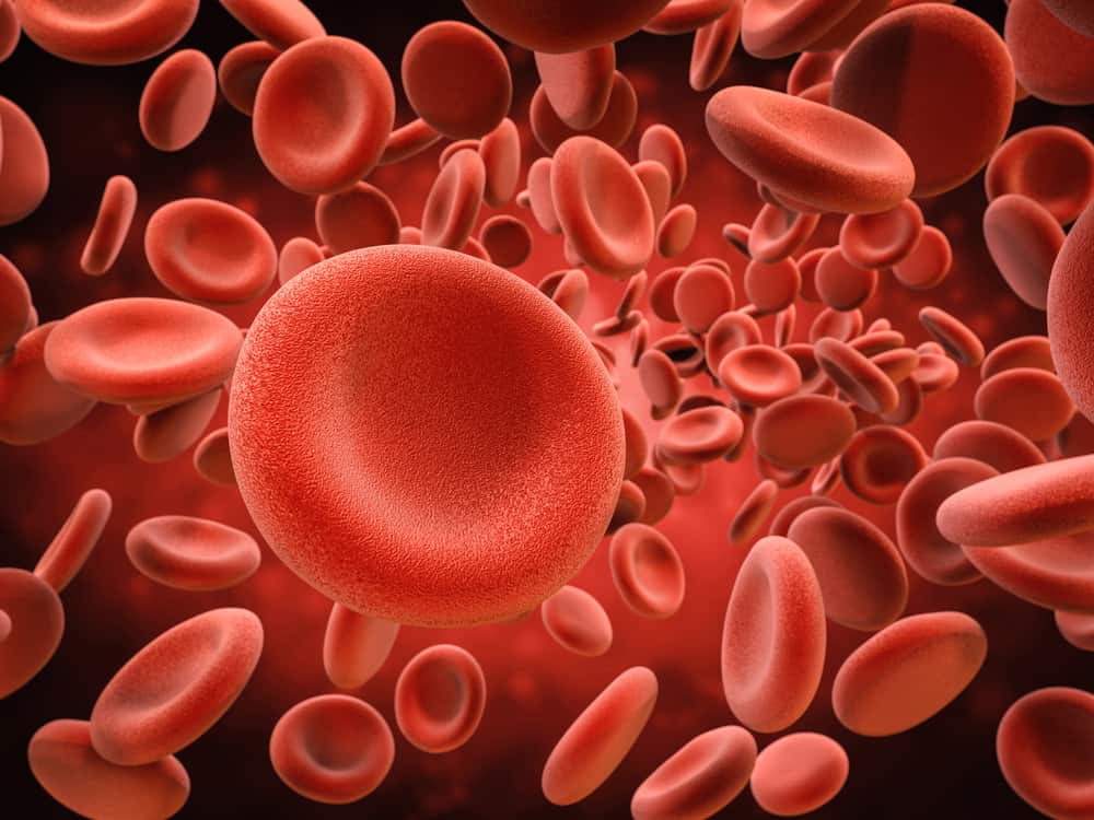 Erfahren Sie mehr über Hämoglobin (Hb)