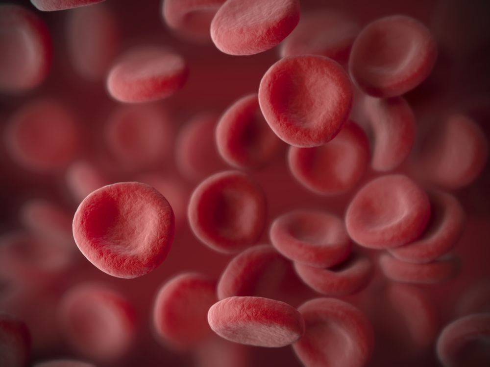 Знати нормальну кількість еритроцитів (червоних кров’яних тілець) та їх функції для організму