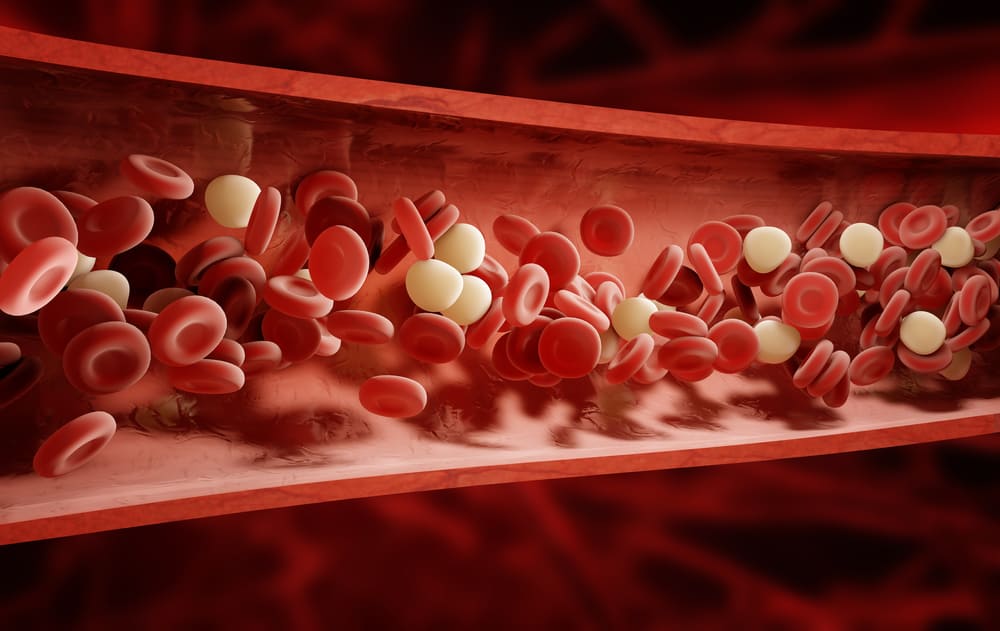 קדימה, התרחק ממחלות עם 5 צעדים לשיפור זרימת הדם