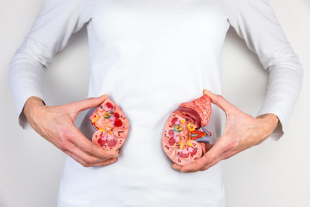 7 modalități de a preveni pietrele la rinichi care pot fi făcute chiar acum